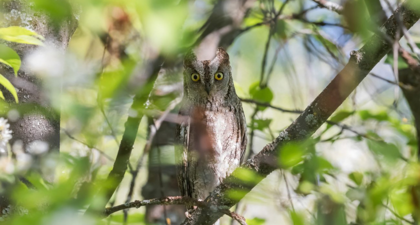 Погода в Глазове на 26 мая