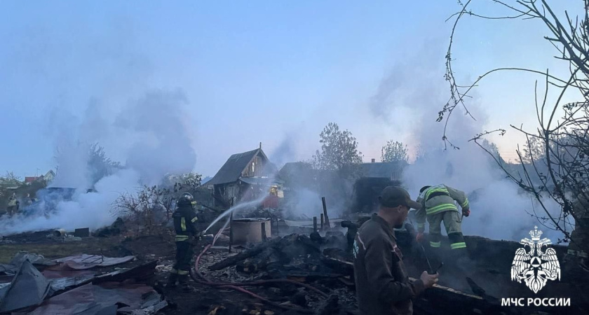 Три садовых дома, четыре бани и кладовая сгорели в Удмуртии