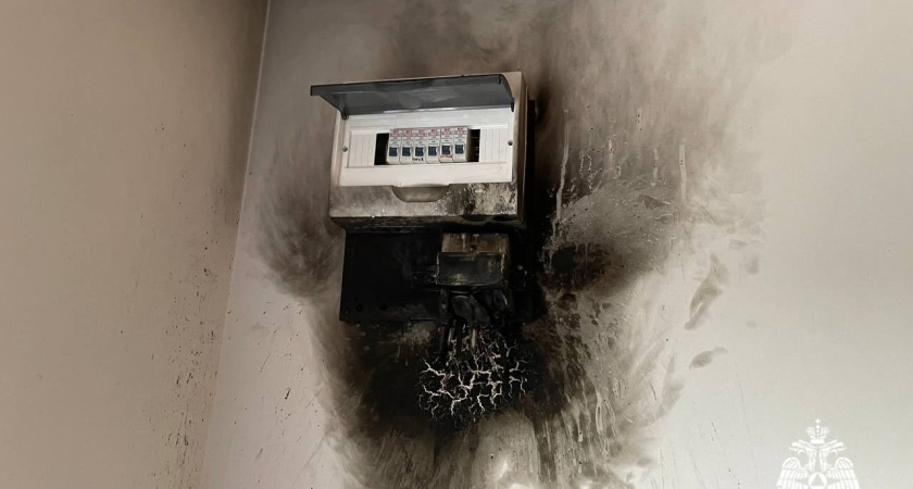 ️Грозовой разряд стал причиной пожара в Удмуртии