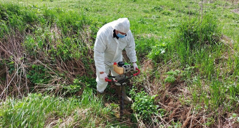 В Удмуртии продолжается работа по ликвидации скотомогильников