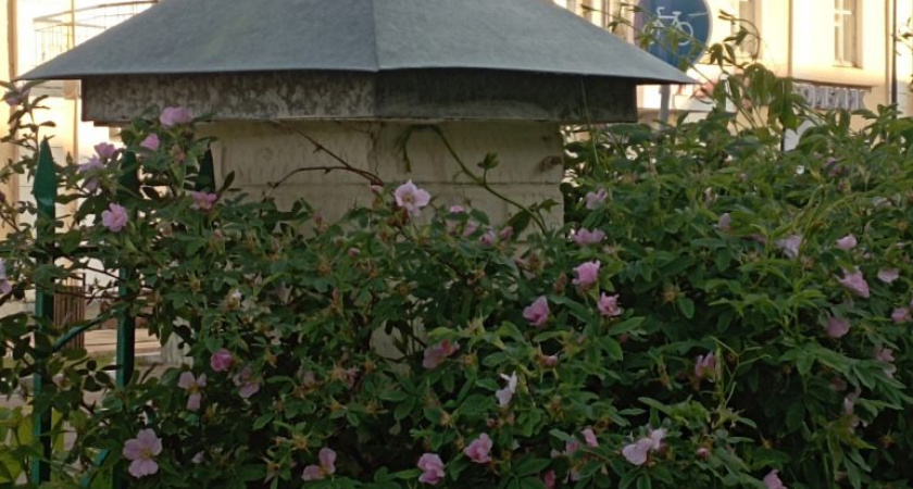 Погода в Глазове на 7 июня