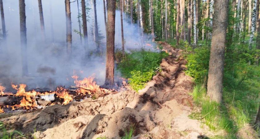 В Воткинском районе ликвидировали крупный лесной пожар