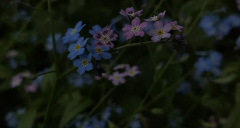 Сегодня в Удмуртии пройдут локальные кратковременные дожди, в отдельных районах с грозами и градом
