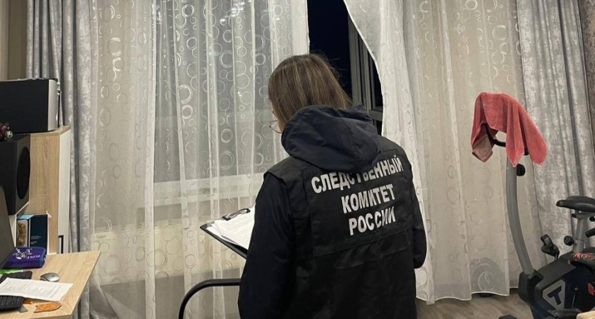 В Удмуртии двое подростков задержаны по подозрению в хулиганстве