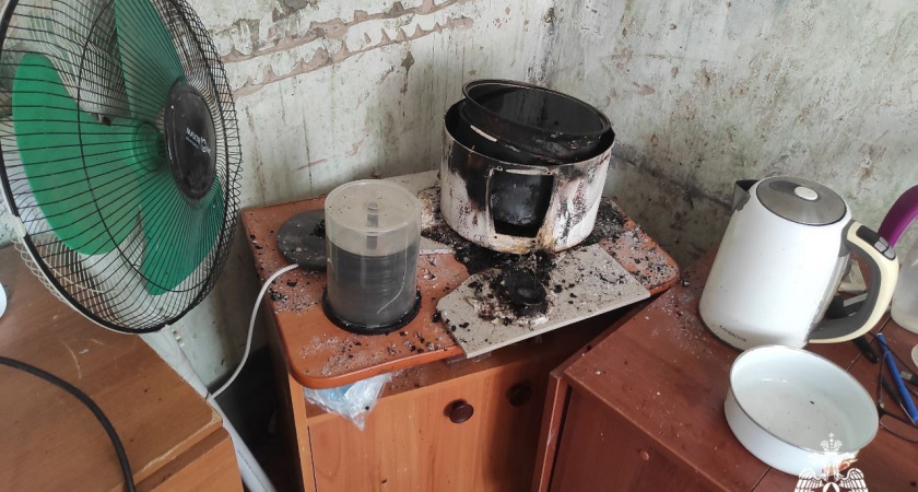 Мультиварка чуть не оставила без жилья жителя Удмуртии