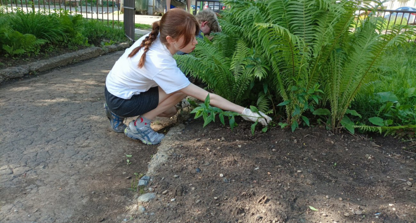 120 школьников Глазова нашли летнюю подработку