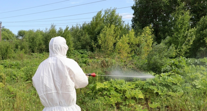 В Глазовском районе по решению суда ремонтируют дороги в Чуре и Азамае