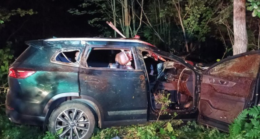 Два человека в Удмуртии погибли в аварии из-за лося