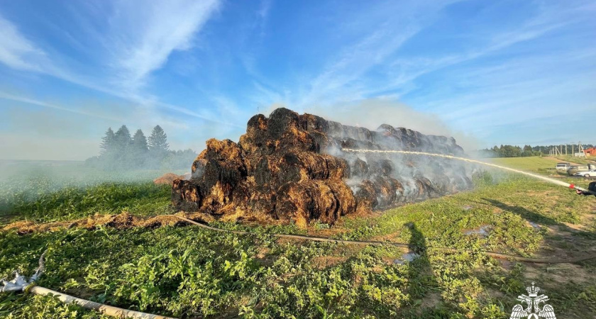 300 рулонов сена сгорели в Удмуртии