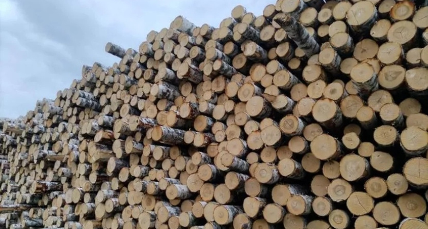 Удмуртия активно поставляет лес в Казахстан