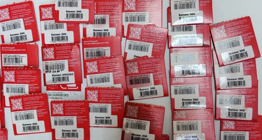 Подросток из Удмуртии подозревается в мошенничестве