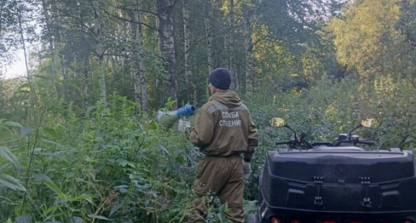 В Глазовском районе заблудились три человека