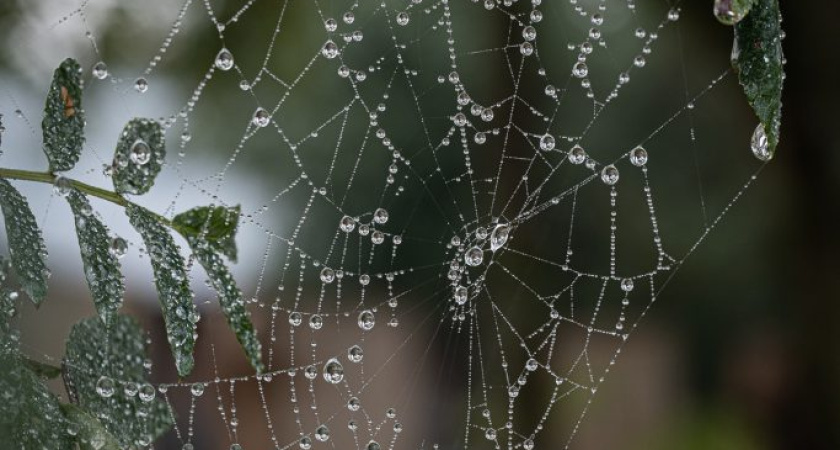 В Ижевске установлен рекорд минимальной температуры в июле