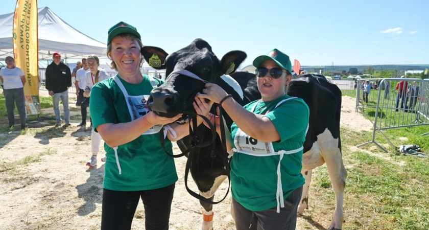 В Удмуртии выбрали лучших коров республики