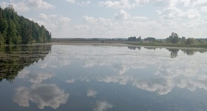 Погода в Глазове на 3 августа