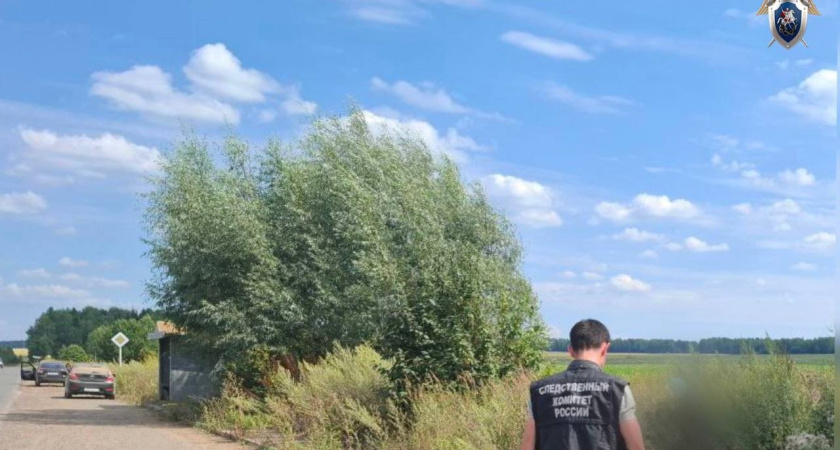 12-летнюю девочку насмерть сбил в Удмуртии пьяный водитель