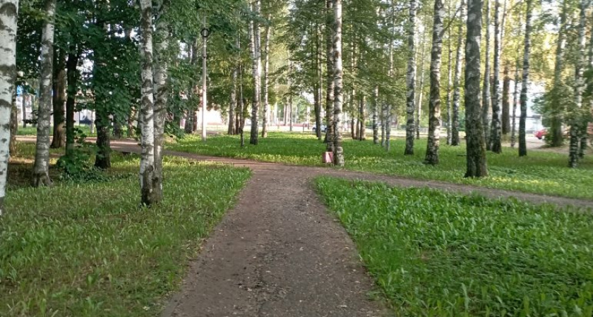 Погода в Глазове на 6 августа