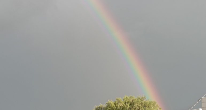 Погода в Глазове на 11 августа