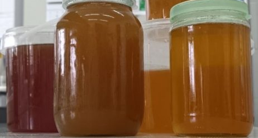 Сегодня в России отмечают Медовый Спас (0+)