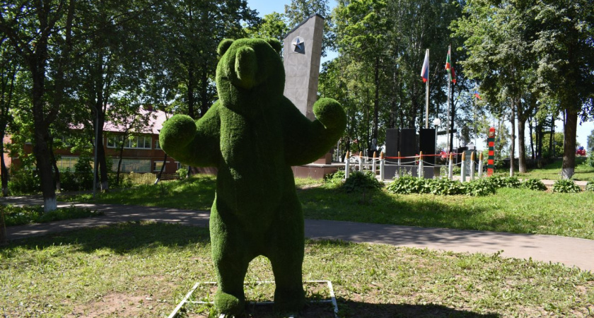 Зеленые медведи появились в селе Красногорское