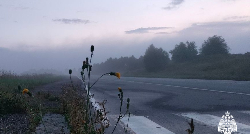 На этой неделе в Удмуртии прогнозируются продолжительные дожди