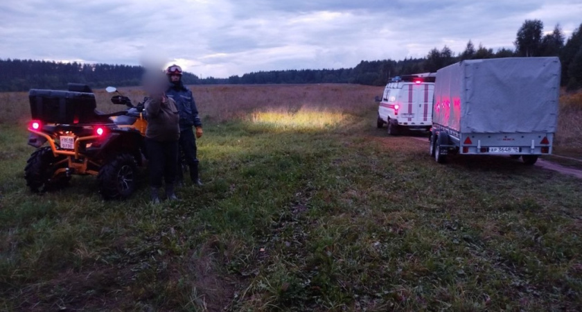 Пенсионерка заблудилась в лесу в Завьяловском районе