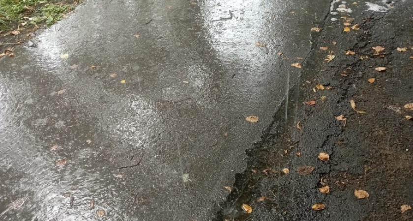 Погода в Глазове на 23 августа