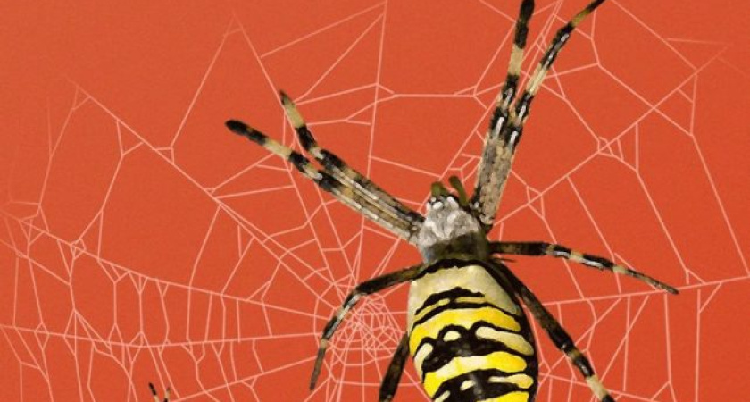Жителям Удмуртии рассказали о последствиях укуса паука-осы