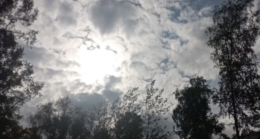 Погода в Глазове на 31 августа