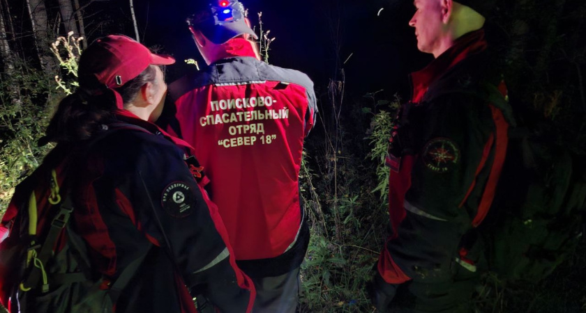 В лесах Глазовского района потерялись три грибника