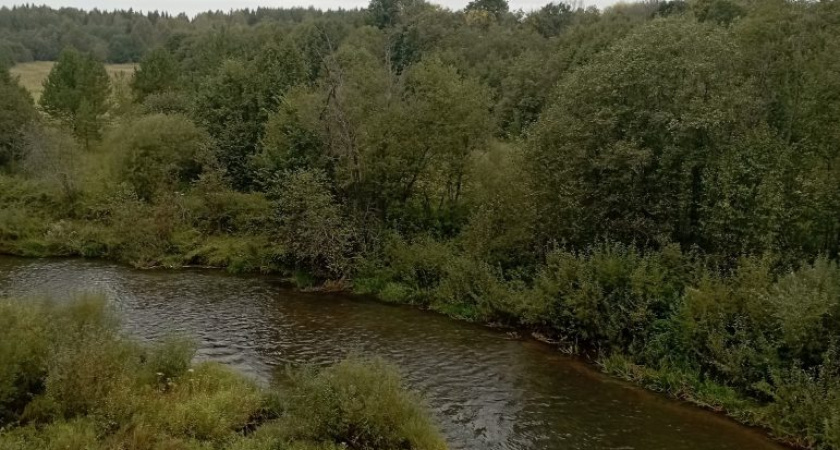 Погода в Глазове на 8 сентября