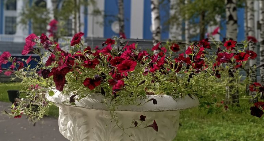 Погода в Глазове на 16 сентября