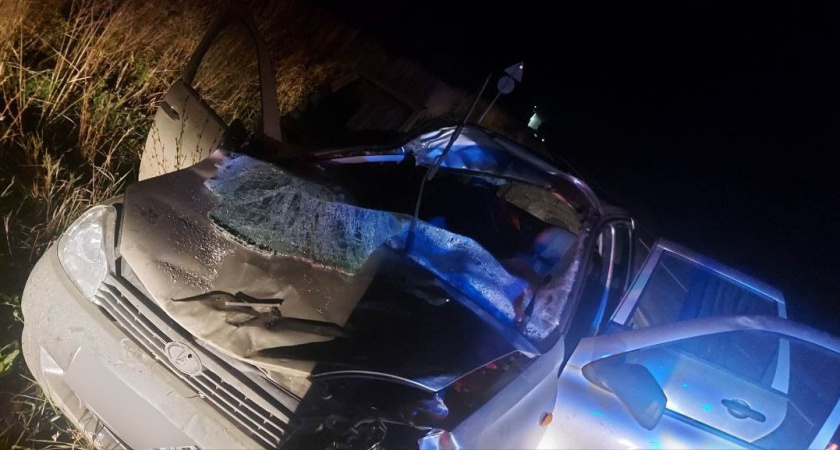 Трое человек пострадали в ДТП в Удмуртии из-за лося