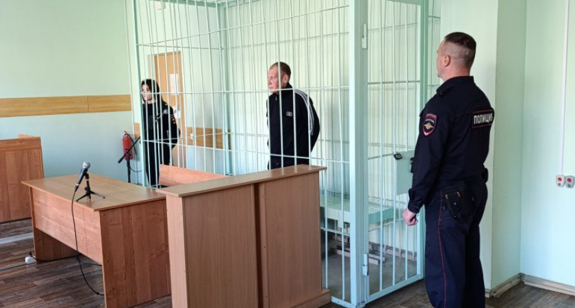 В Глазове осудили мужчину, убившего родную мать