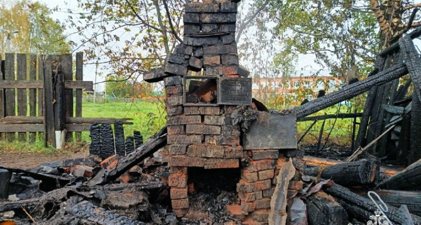 Семья в Балезинском районе едва не лишилась дома в пожаре