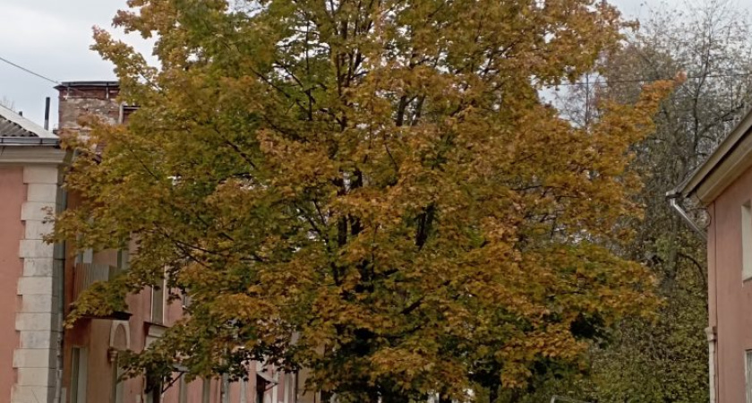 Погода в Глазове на 23 сентября