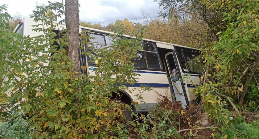 Рейсовый автобус в Глазове съехал с дороги