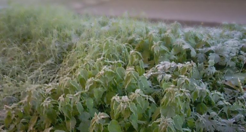 Погода в Глазове на 1 октября