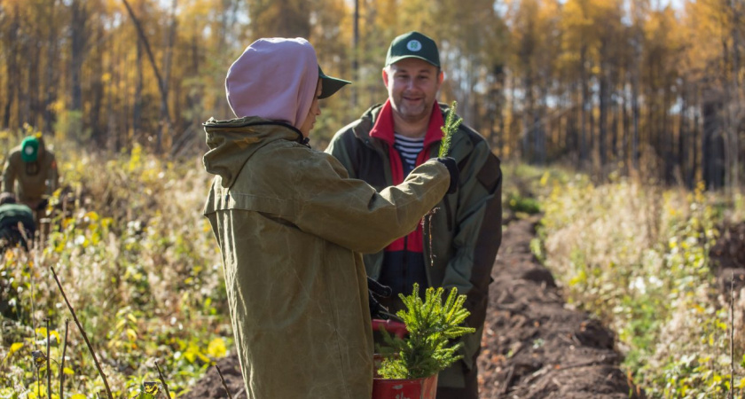 В Удмуртии продолжается акция «Сохраним лес» (0+)