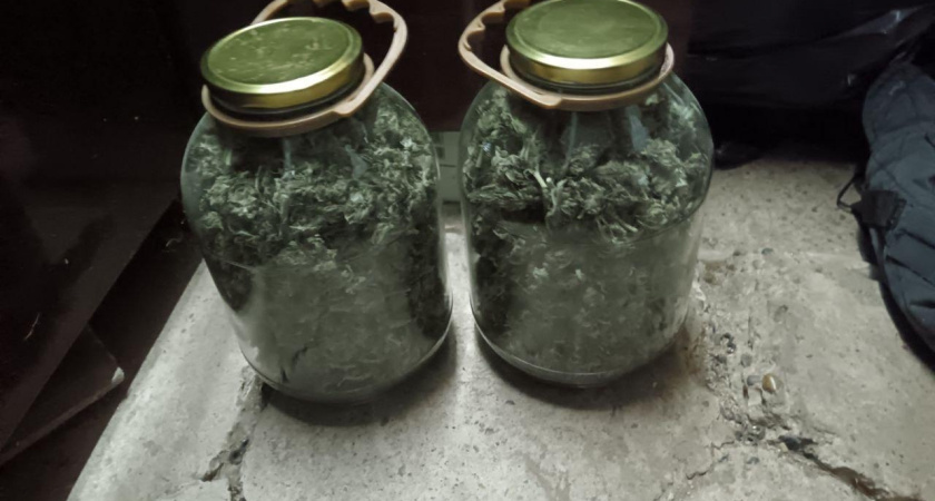 В Удмуртии сотрудниками полиции задержан подозреваемый в незаконном хранении конопли