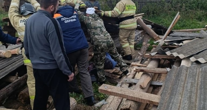 В Вавоже пенсионер оказался погребён под завалами ветхого сарая