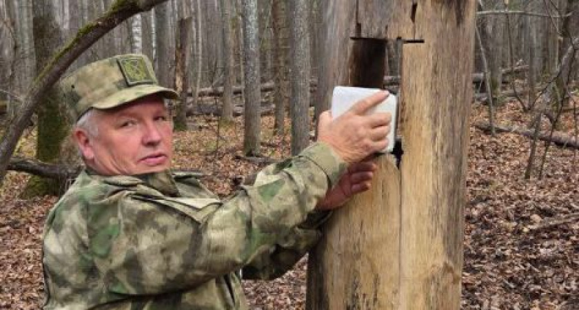 В Удмуртии организуют лесные столовые для диких животных