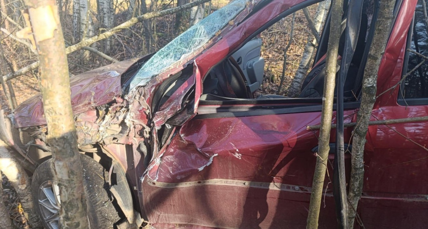 47-летняя нетрезвая женщина в Удмуртии съехала с дороги