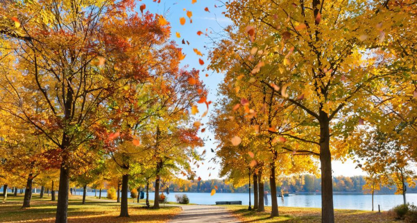 Погода в Глазове на 26 октября