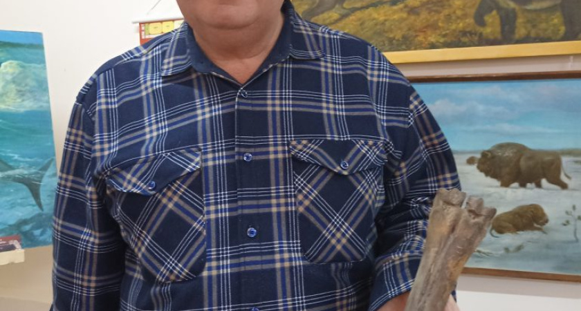 Житель Глазова нашел кость доисторического степного зубра