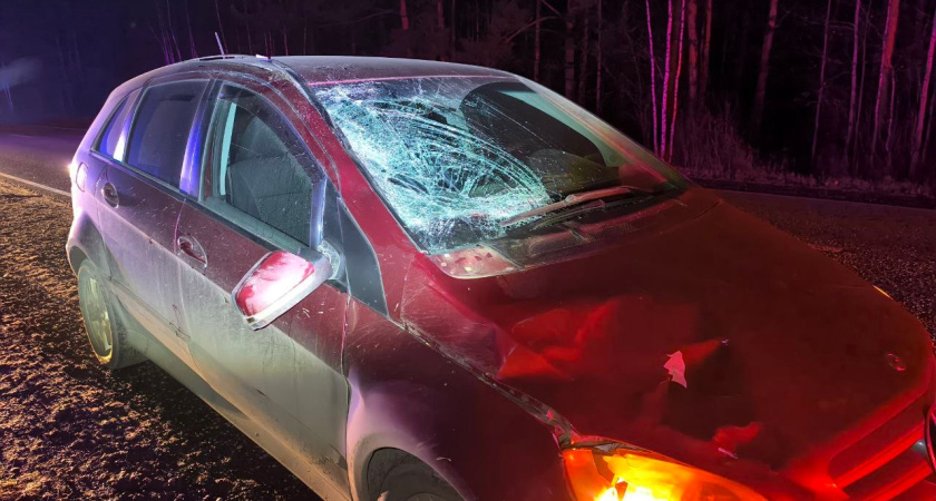 Пенсионер погиб под колесами автомобиля на трассе в Удмуртии