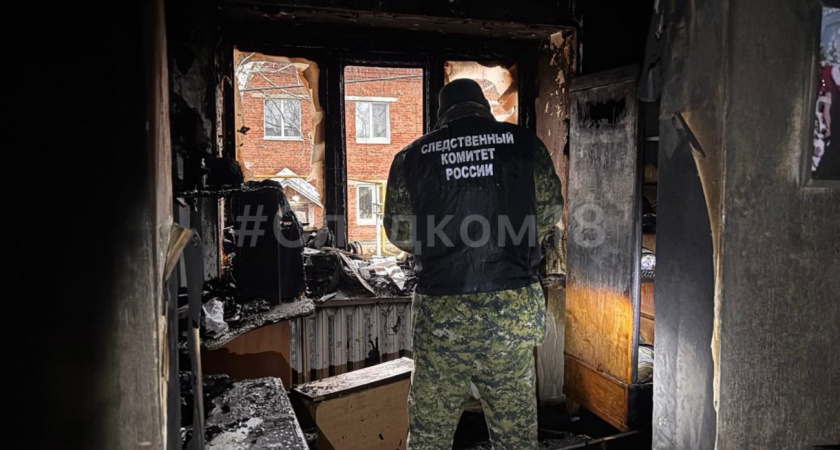 Мать с дочкой и мужчина погибли на пожаре в Удмуртии