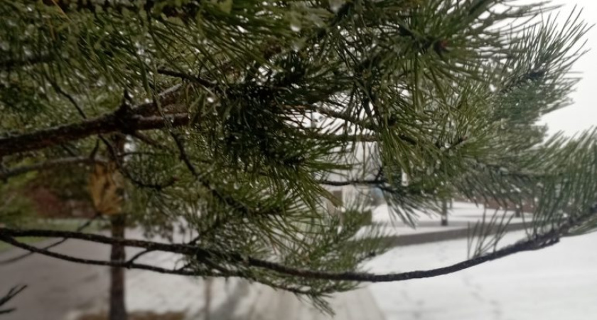 Температурные качели в Удмуртии продолжатся