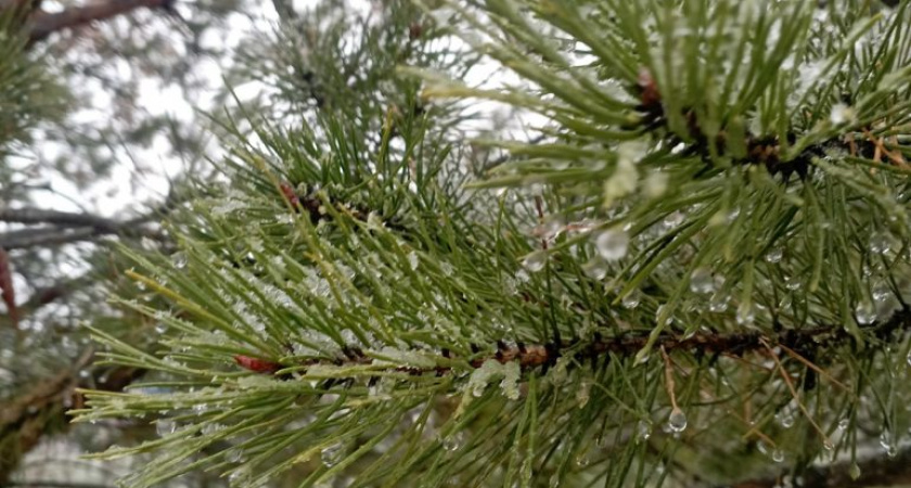 Погода в Глазове на 19 ноября