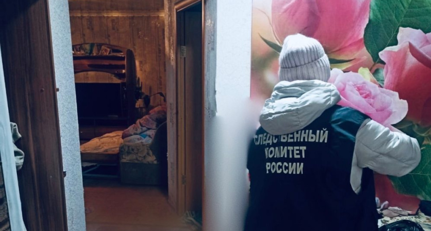 В Можгинском районе местный житель обвиняется в убийстве знакомого